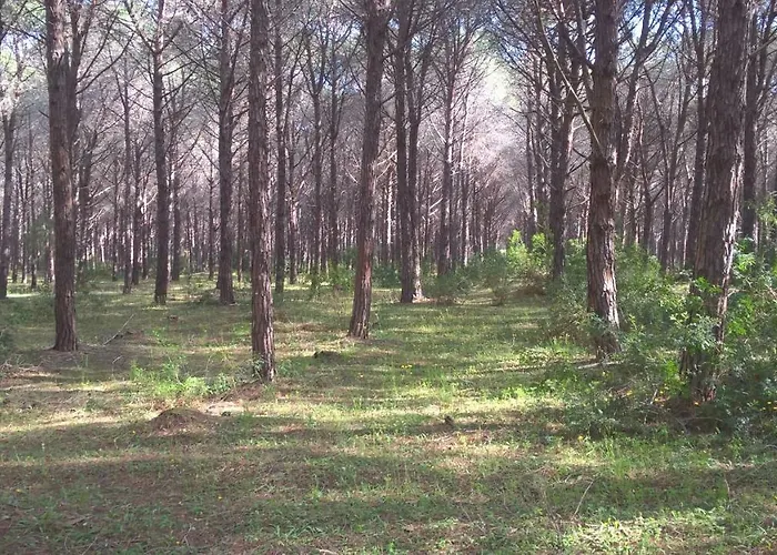 别墅 Portoada Park 皮佐