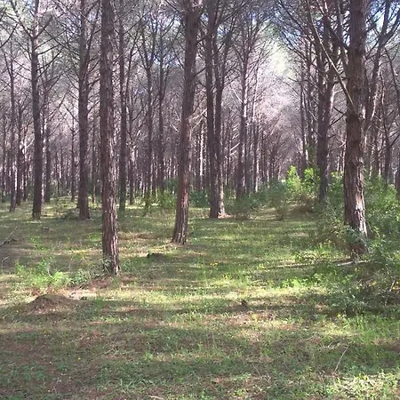 빌라 Portoada Park 피조