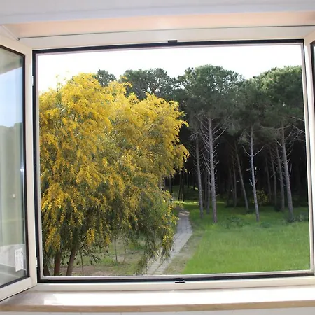 Portoada Park 빌라 *